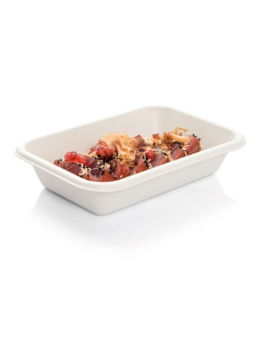 ▷ Bandeja de Cana-de-Açúcar 210x140x35mm - Envio 24h.