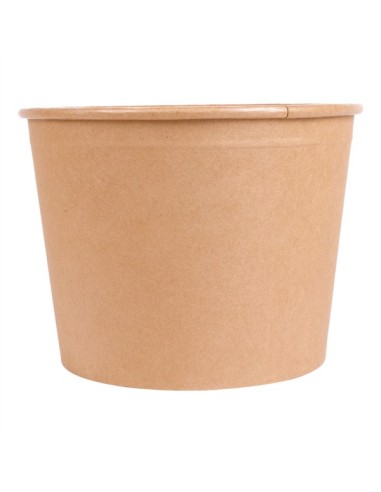 ✅ Cubos de frango com tampa 2550 ml - Envio Gratuito 24h.