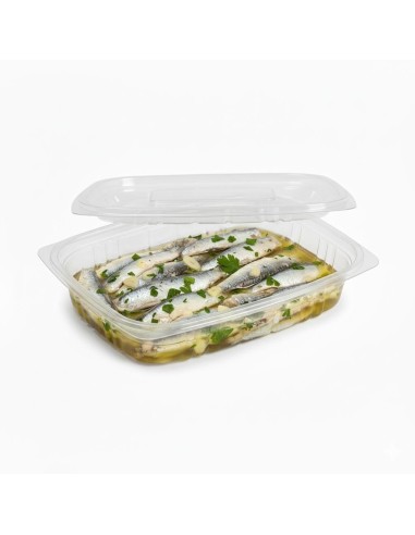 ▷ Recipiente de Plástico Ops 300 cc com Tampa - Envases del Mediterráneo ✅