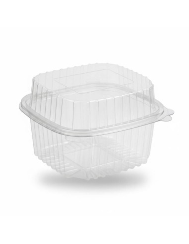 ▷ Recipiente de Plástico PET com Dobradiça 2000 cc - Envio 24h | Envases del Mediterráneo
