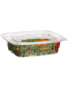 ▷ Embalagem de Plástico OPS 900 cc com Tampa - Envases del Mediterráneo ✅✅