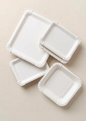 Tabuleiros biodegradáveis